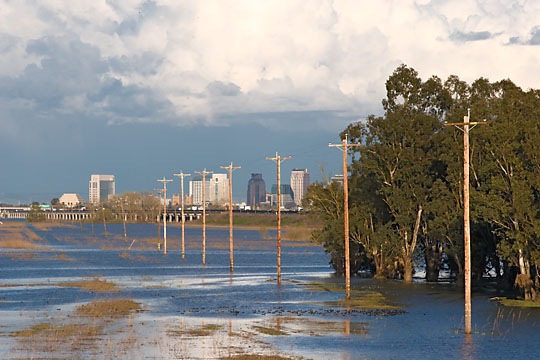Yolo Bypass 2459